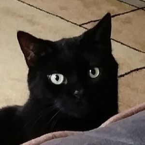 Meet your Posher, Tina